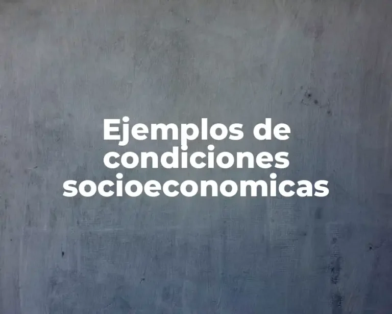 Ejemplos de condiciones socioeconomicas