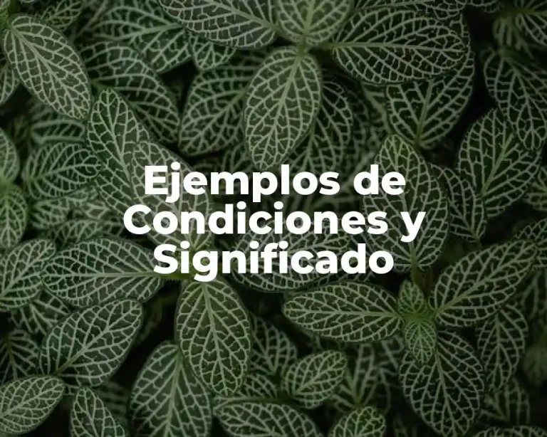 Ejemplos de Condiciones y Significado