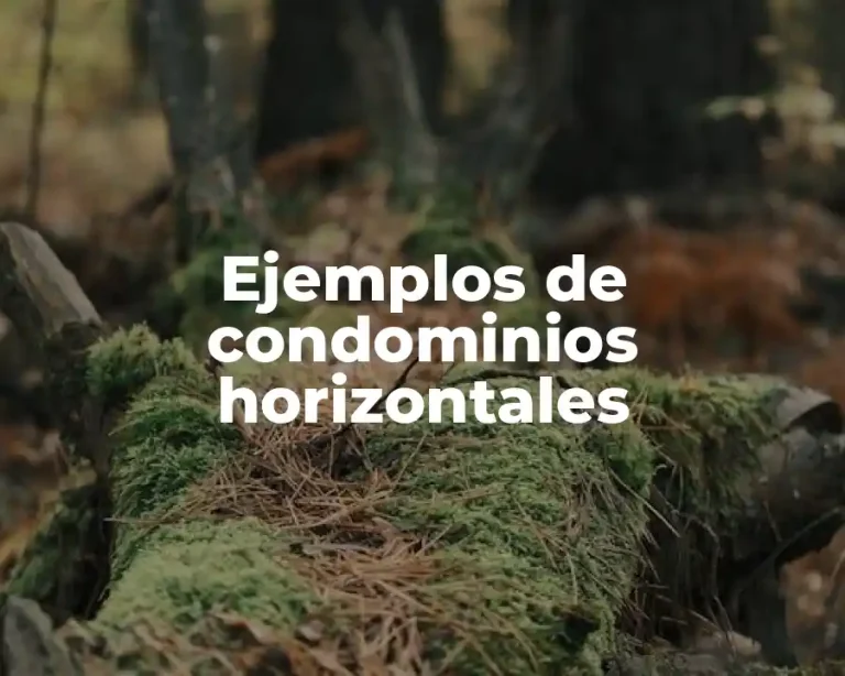 Ejemplos de condominios horizontales