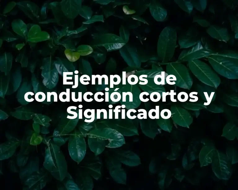 Ejemplos de conducción cortos y Significado