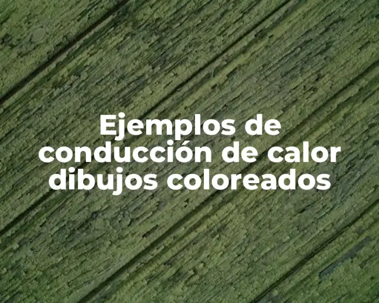 Ejemplos de conducción de calor dibujos coloreados