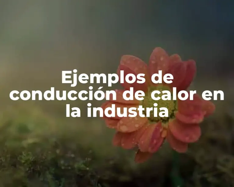 Ejemplos de conducción de calor en la industria