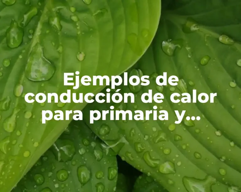 Ejemplos de conducción de calor para primaria y Significado
