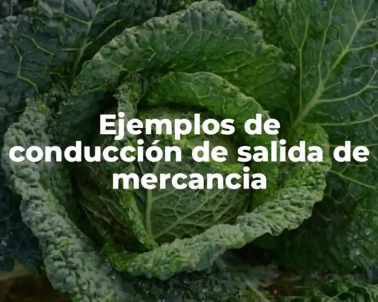 Ejemplos de conducción de salida de mercancia