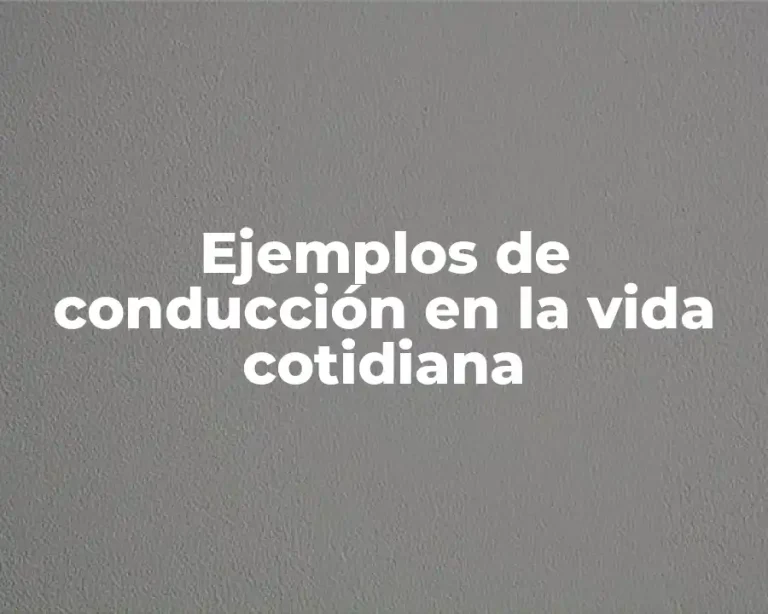 Ejemplos de conducción en la vida cotidiana
