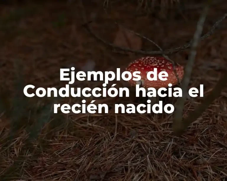 Ejemplos de Conducción hacia el recién nacido