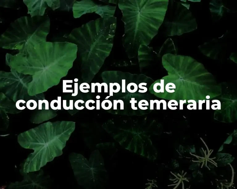 Ejemplos de conducción temeraria