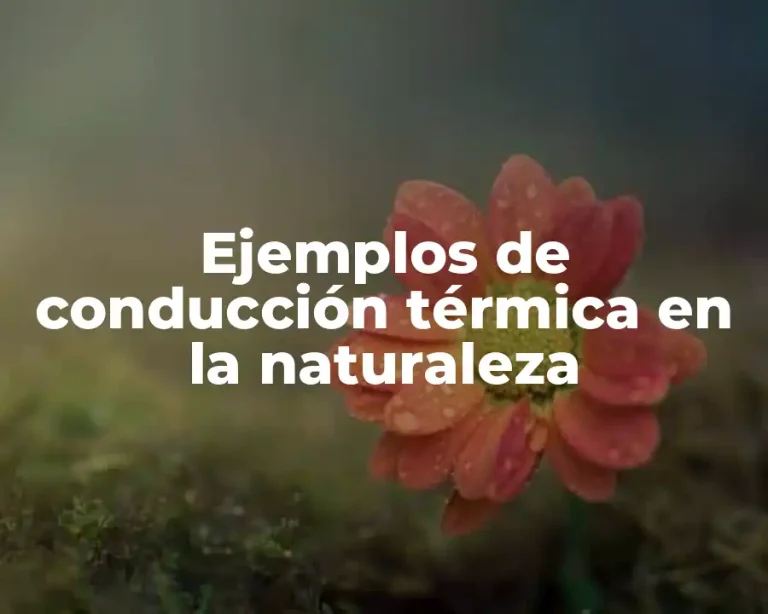 Ejemplos de conducción térmica en la naturaleza