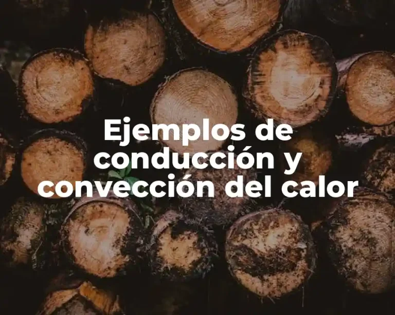 Ejemplos de conducción y convección del calor