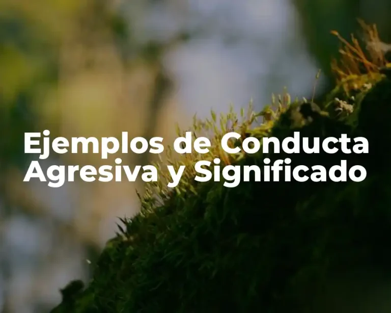 Ejemplos de Conducta Agresiva y Significado