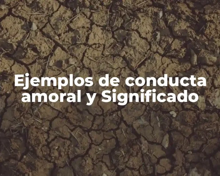 Ejemplos de conducta amoral y Significado