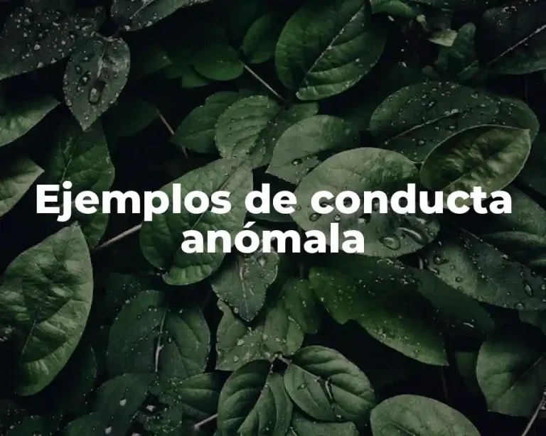 Ejemplos de conducta anómala