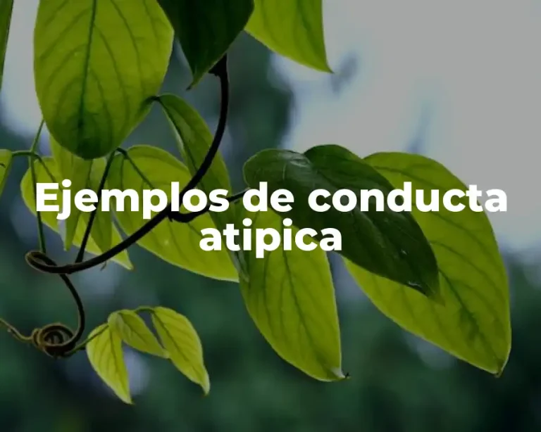 Ejemplos de conducta atipica