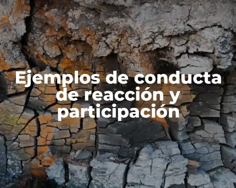 Ejemplos de conducta de reacción y participación