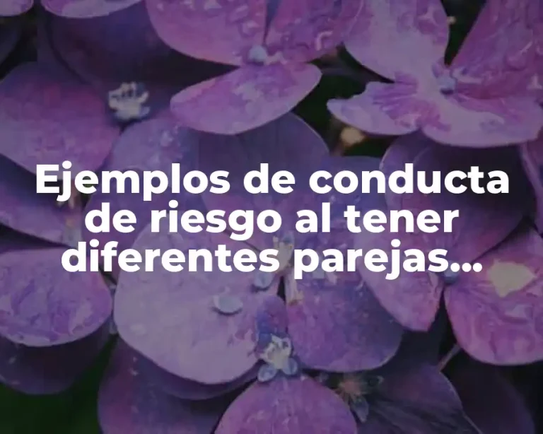 Ejemplos de conducta de riesgo al tener diferentes parejas sexuales