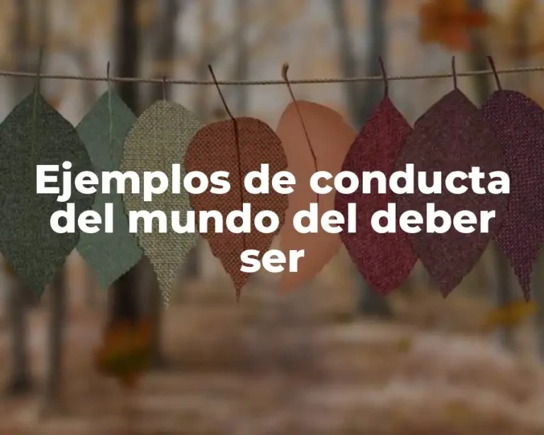 Ejemplos de conducta del mundo del deber ser