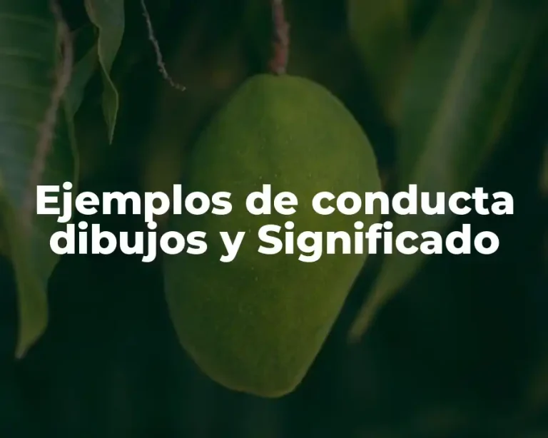 Ejemplos de conducta dibujos y Significado
