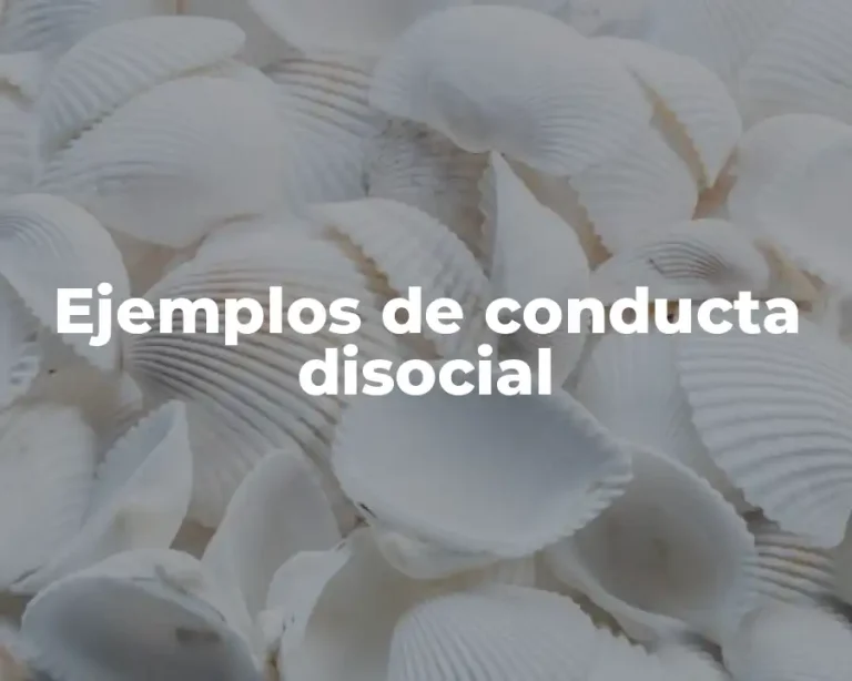 Ejemplos de conducta disocial