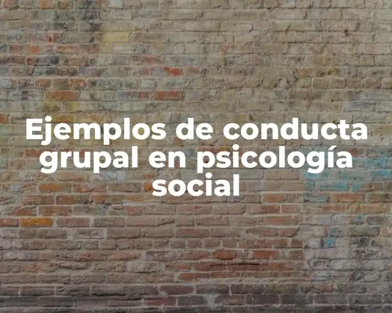 Ejemplos de conducta grupal en psicología social