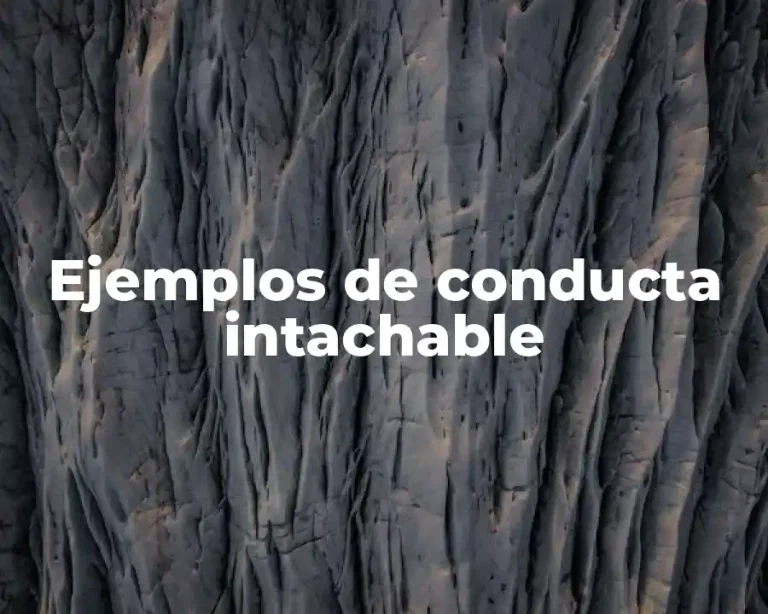 Ejemplos de conducta intachable