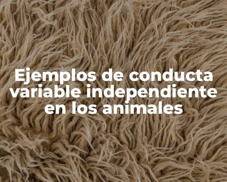 Ejemplos de conducta variable independiente en los animales