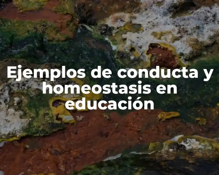 Ejemplos de conducta y homeostasis en educación