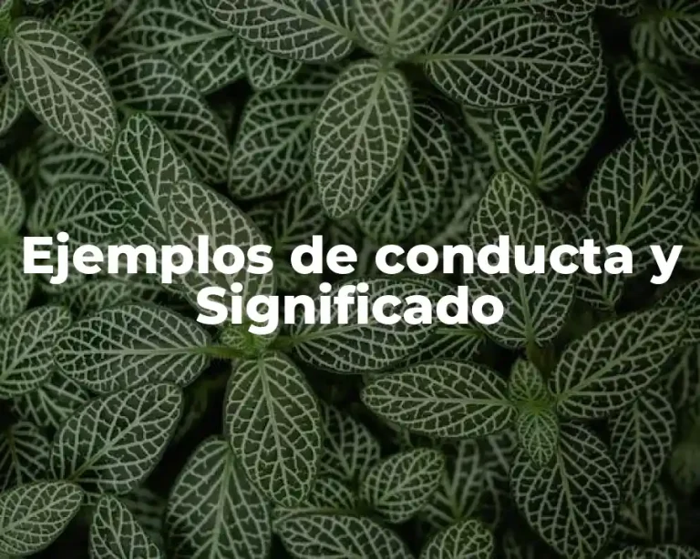Ejemplos de conducta y Significado