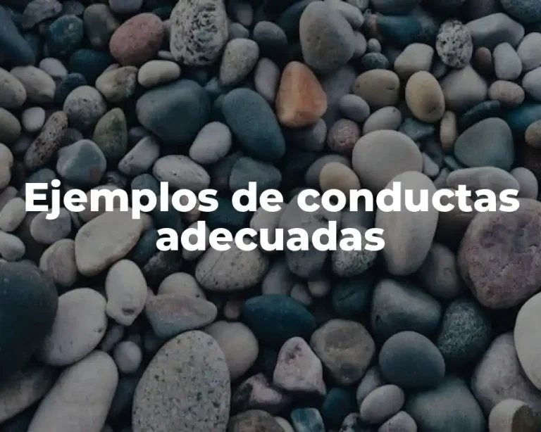 Ejemplos de conductas adecuadas