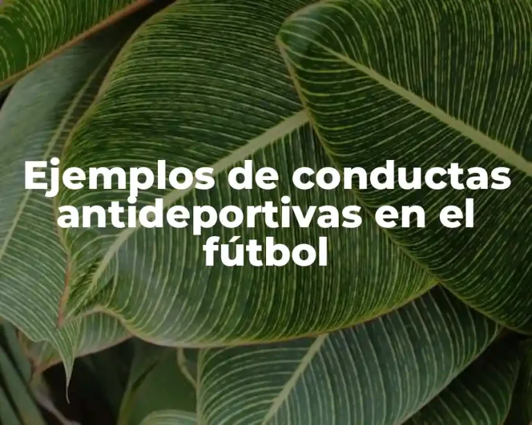 Ejemplos de conductas antideportivas en el fútbol