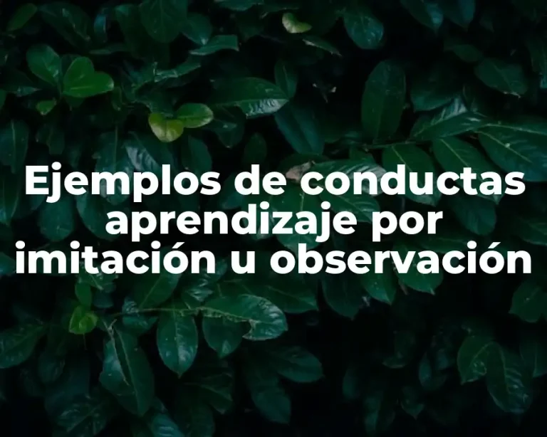 Ejemplos de conductas aprendizaje por imitación u observación