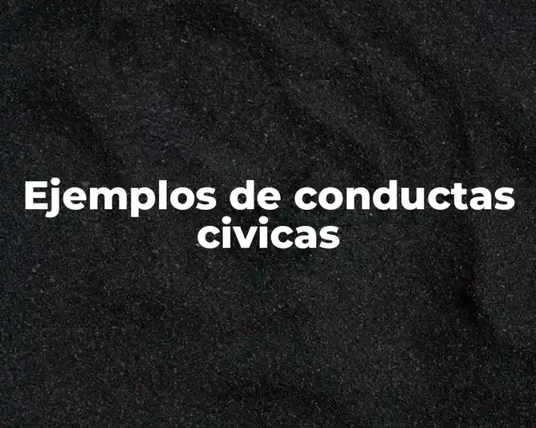 Ejemplos de conductas civicas