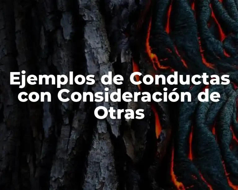 Ejemplos de Conductas con Consideración de Otras
