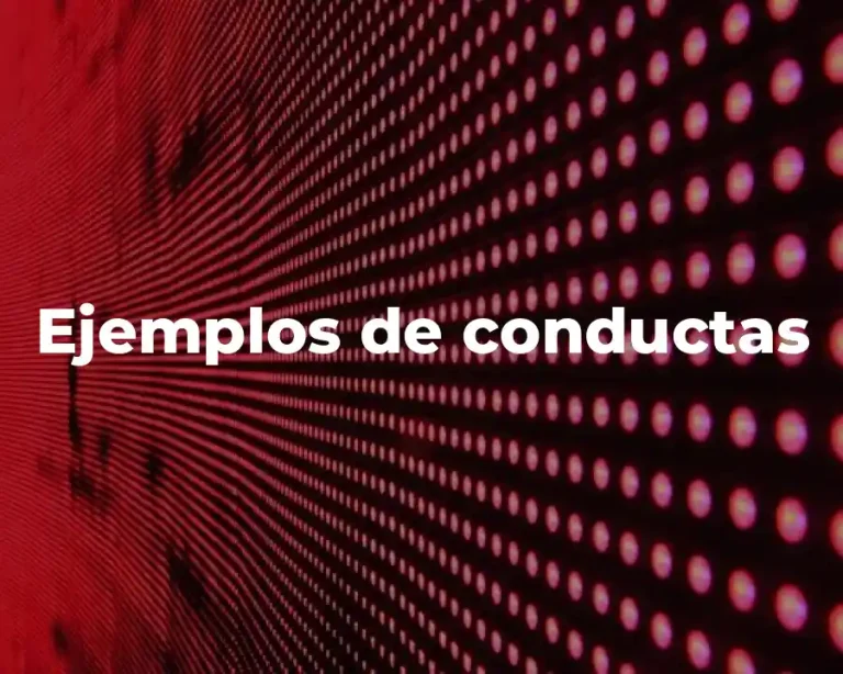 Ejemplos de conductas