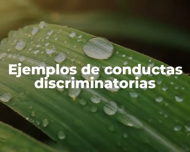 Ejemplos de conductas discriminatorias