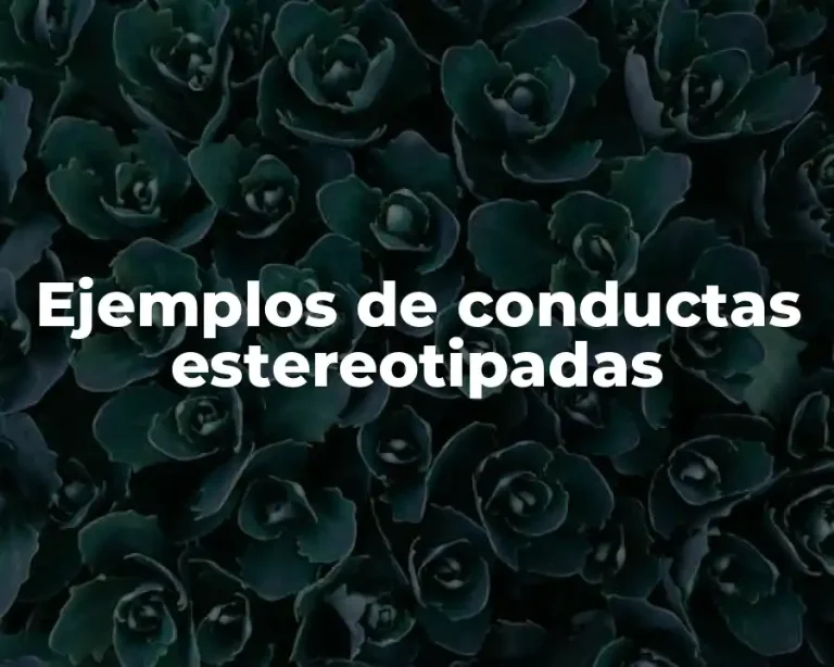 Ejemplos de conductas estereotipadas