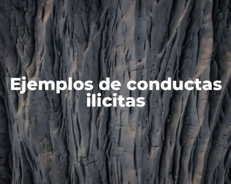 Ejemplos de conductas ilicitas