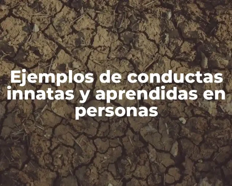 Ejemplos de conductas innatas y aprendidas en personas