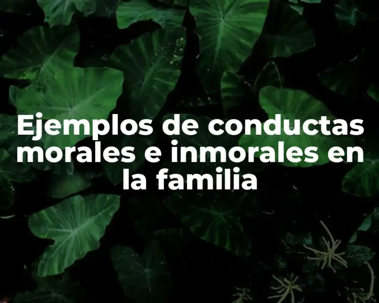 Ejemplos de conductas morales e inmorales en la familia