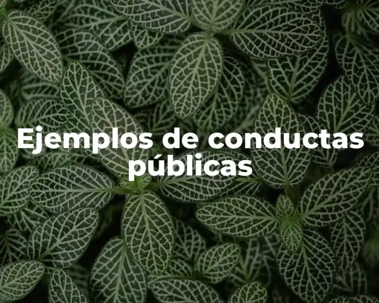 Ejemplos de conductas públicas