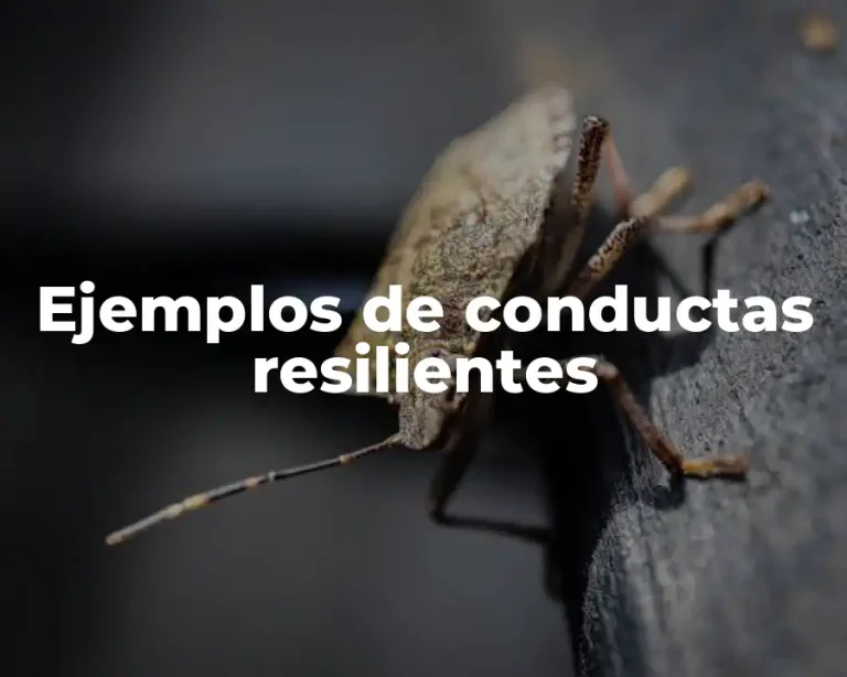 Ejemplos de conductas resilientes