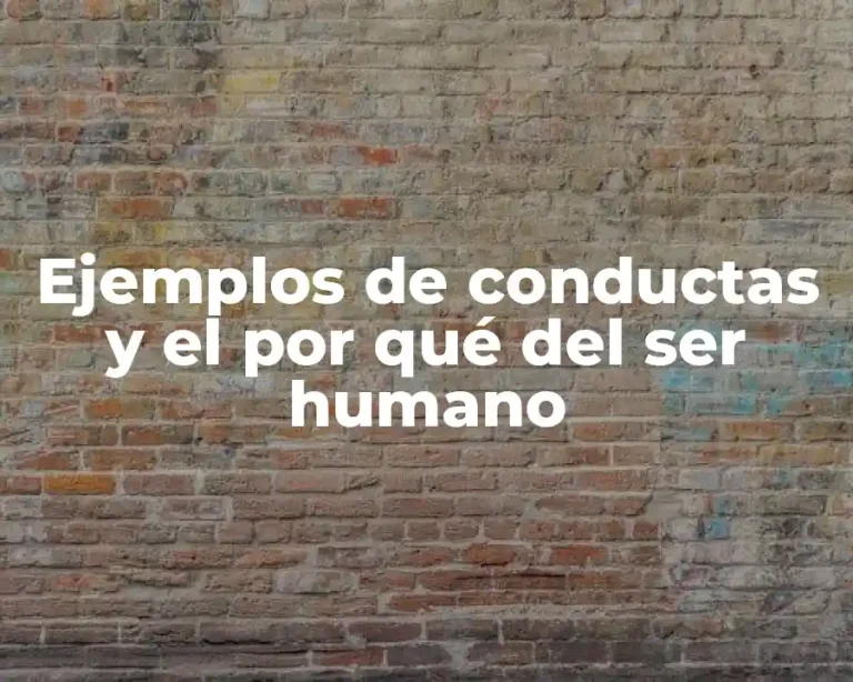 Ejemplos de conductas y el por qué del ser humano