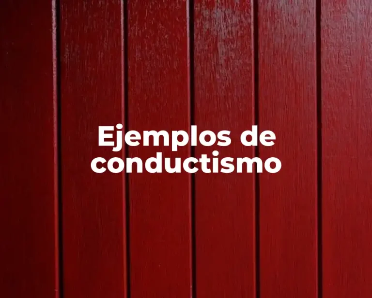 Ejemplos de conductismo