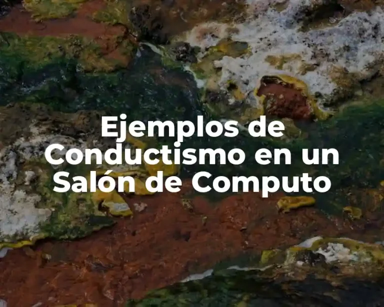 Ejemplos de Conductismo en un Salón de Computo