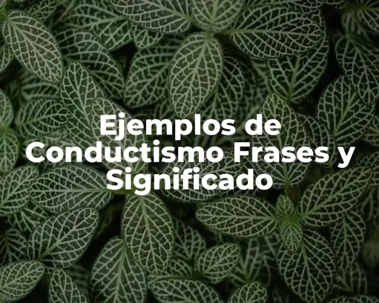 Ejemplos de Conductismo Frases y Significado