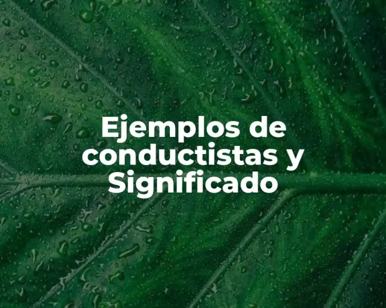 Ejemplos de conductistas y Significado