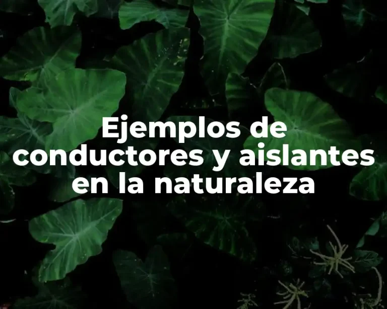Ejemplos de conductores y aislantes en la naturaleza