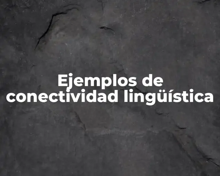 Ejemplos de conectividad lingüística