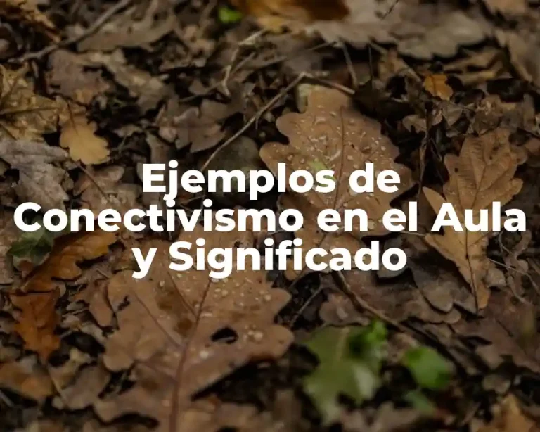 Ejemplos de Conectivismo en el Aula y Significado