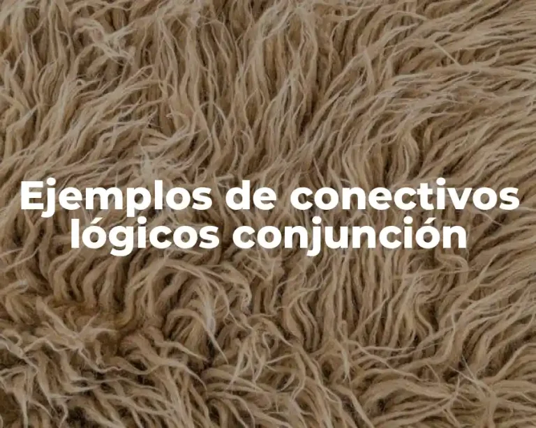 Ejemplos de conectivos lógicos conjunción