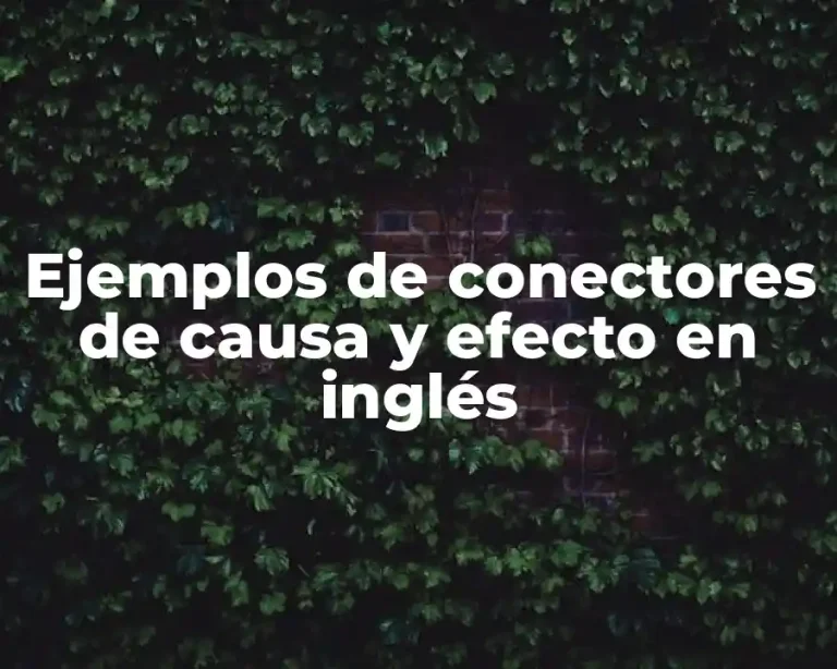 Ejemplos de conectores de causa y efecto en inglés